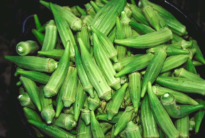 Okra Bau Market Green - Borneói tájfajta